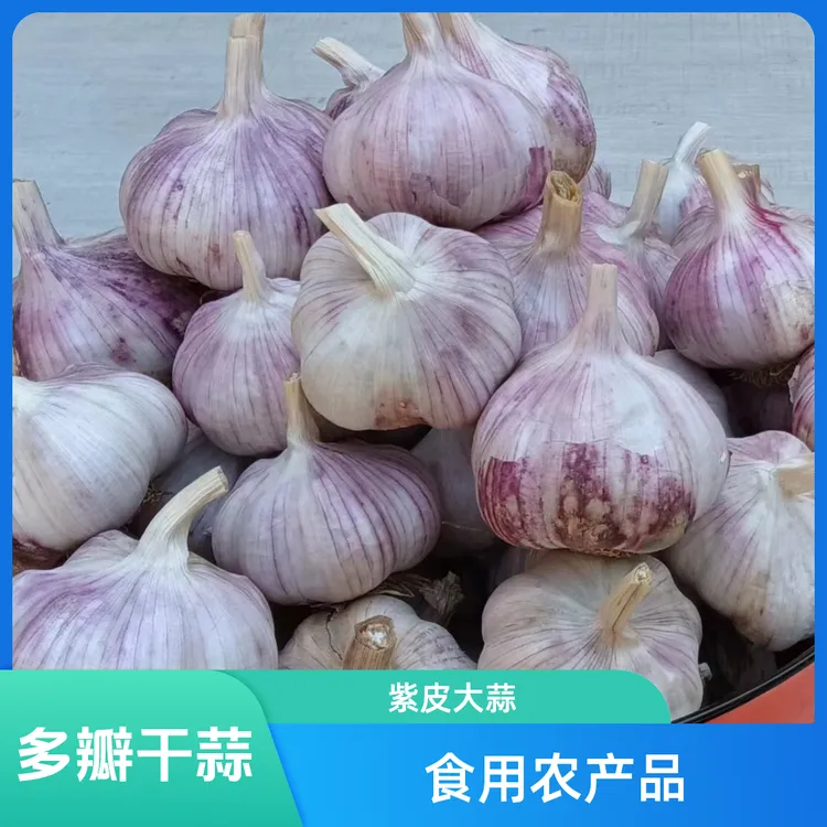 2025河南杞县自然晒干紫皮干蒜 手工特挑多瓣干蒜