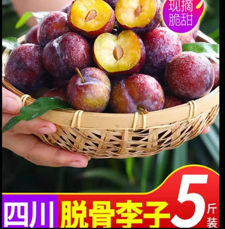 【脱骨李】脆红李四川眉山现摘现发新鲜应季水果果园直发脆爽多汁01