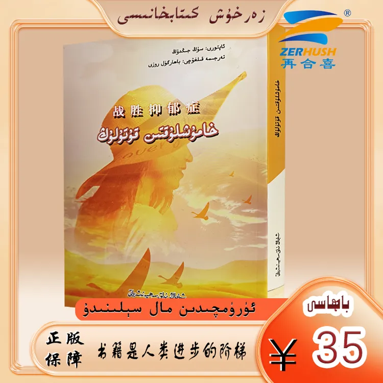 维文图书：战胜阴郁症 hamuxluktin kutulung