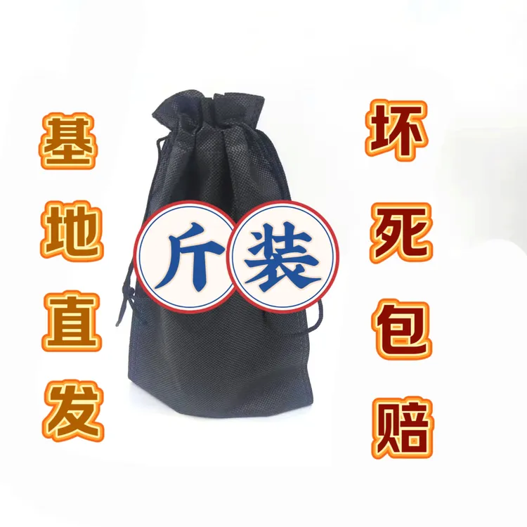 蚯蚓鲜活鱼饵活饵鲤鱼饵鱼食饵料鲜活红虫 垂钓鲫鱼饵斤装通用活