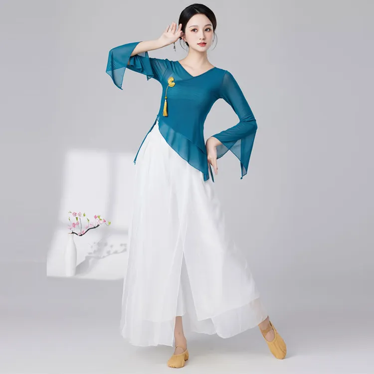 古典舞服中国风飘逸艺考纱衣身韵服古风斜边网纱民族舞练功服上衣
