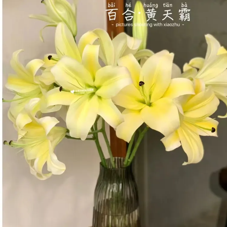 【黄天霸百合】高品质香水百合鲜花---(损耗20%以内不售后）夏季香气