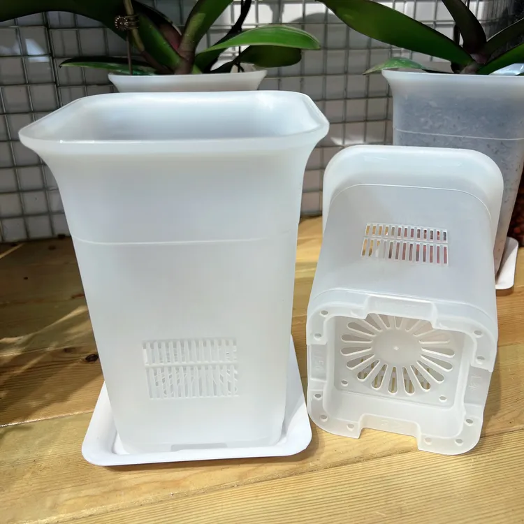 蝴蝶兰专用花盆绿植