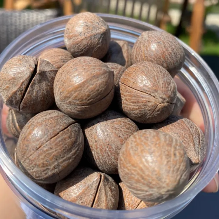 2025年新货临安非手剥山核桃特大籽原子山核桃袋装坚果炒货饱满