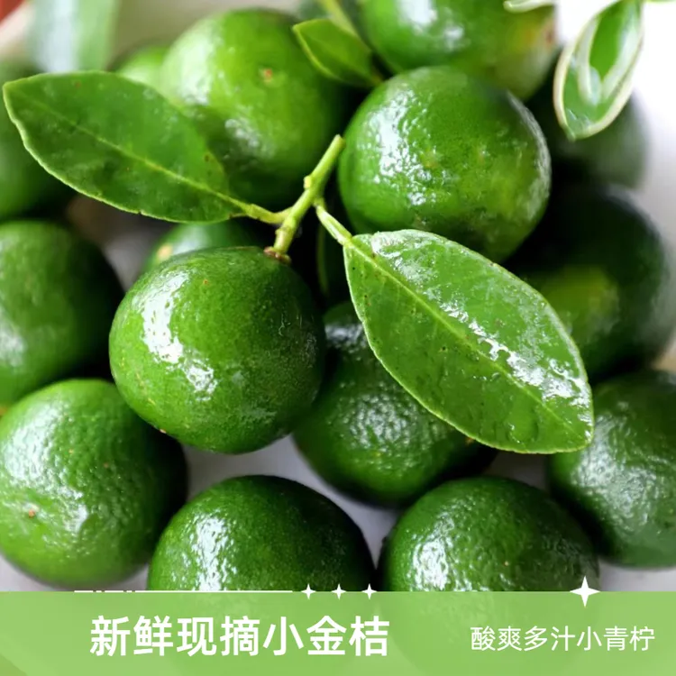 新鲜现摘海南小青金桔酸爽青橘餐饮奶茶店家用果茶网红水果坏包赔