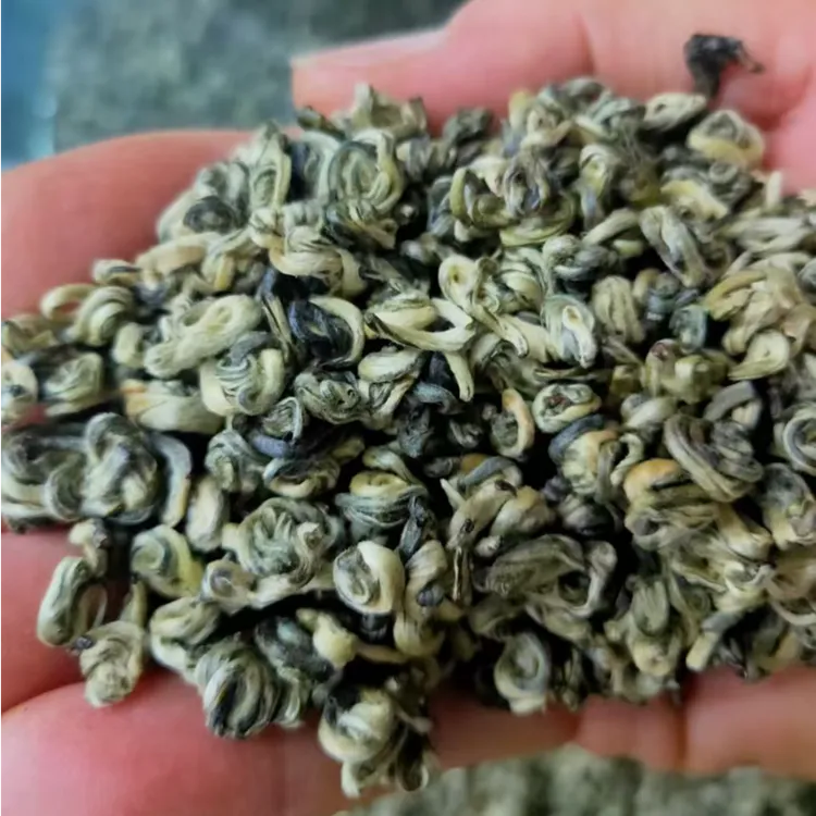 云南高山绿茶2024年新茶叶云南绿茶叶500克单芽碧螺春