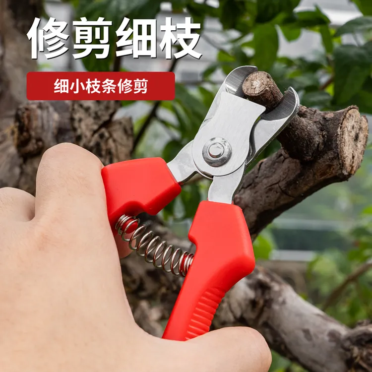 不锈钢摘果剪窝型橙子苹果专用剪刀橘子番茄采摘剪修枝采摘不伤果