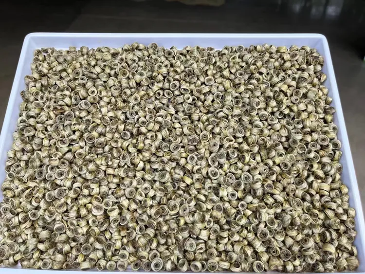 【茉莉单环】2023年新茶清香茉莉花型清爽耐泡度高回甘香气怡人