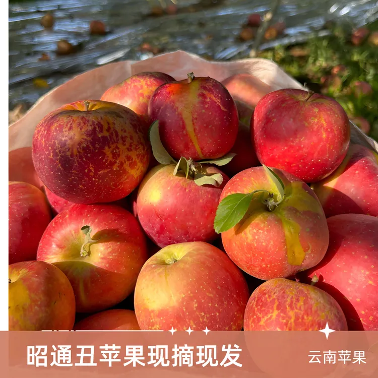 云南昭通糖心丑苹果现摘现发脆甜多汁营养新鲜3-10斤