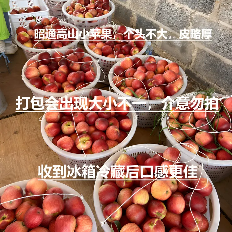 昭通早熟红露苹果现摘4.5斤