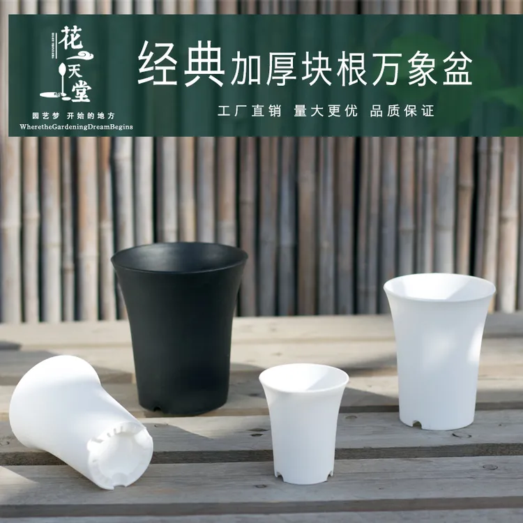 多肉植物塑料花盆万象块根仙人球玉露高腰盆磨砂加厚多规格选择