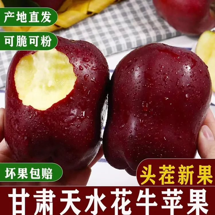 甘肃天水高山花牛苹果脆甜多汁粉面香甜，产地直发5斤，10斤水果