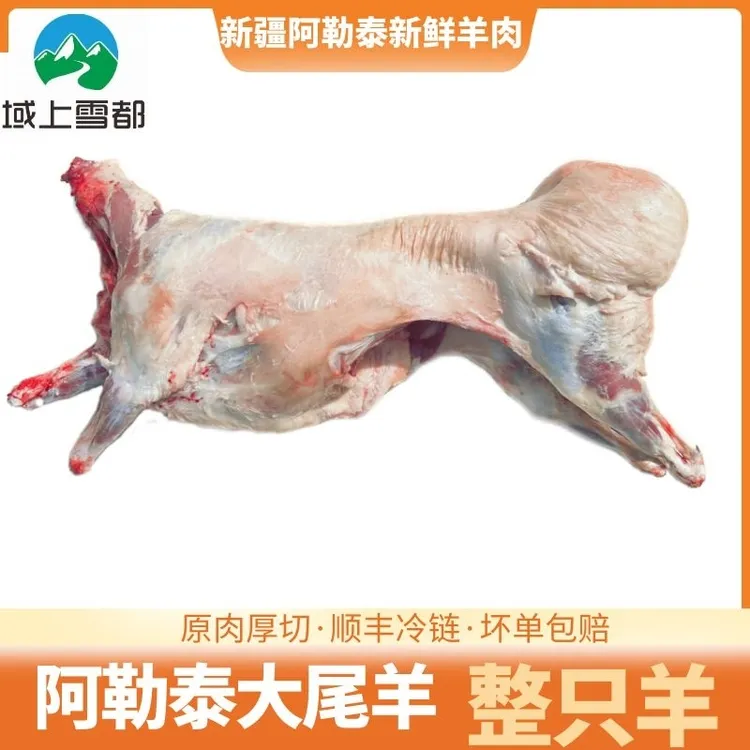新疆阿勒泰大尾羊去尾整只绵羊冰碴驹俐山羊小羊羔散养原生态