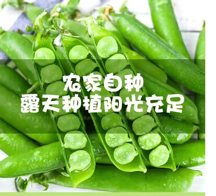 云南高山露天种植甜脆带壳青豆角粒蔬菜豆荚嫩当季时令豌豆新鲜