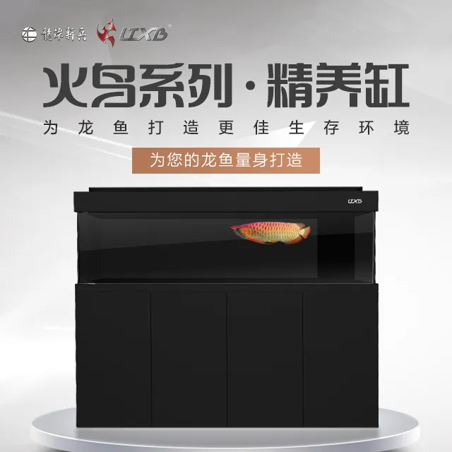 LTXB/龙潭新兵火鸟系列精养缸龙鱼缸超白玻璃低水位困水缸底滤缸