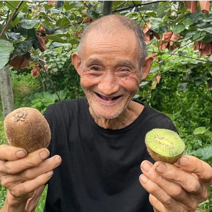 【爷爷种的徐香猕猴桃】绿心猕猴桃  新鲜当季水果奇异果