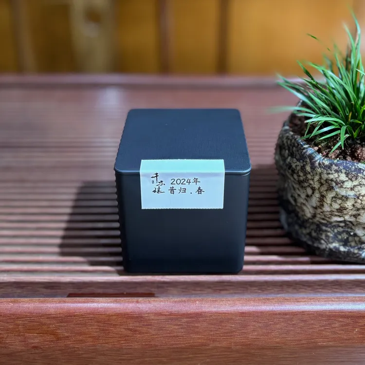 2024年昔归忙鹿山早春 春茶散茶罐装