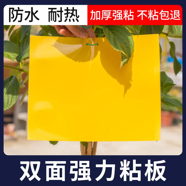 厂家直销强力双面粘虫板适用果园园艺大棚船长花园农防水园艺使用