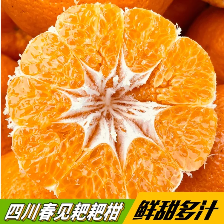 四川新鲜耙耙柑橘子基地当季成熟桔子皮薄多汁果粒饱满优质品种