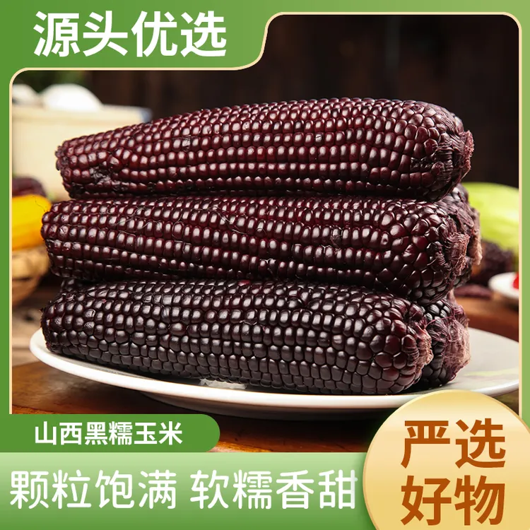 山西黑糯玉米8根（单支220g）颗粒饱满真空包装