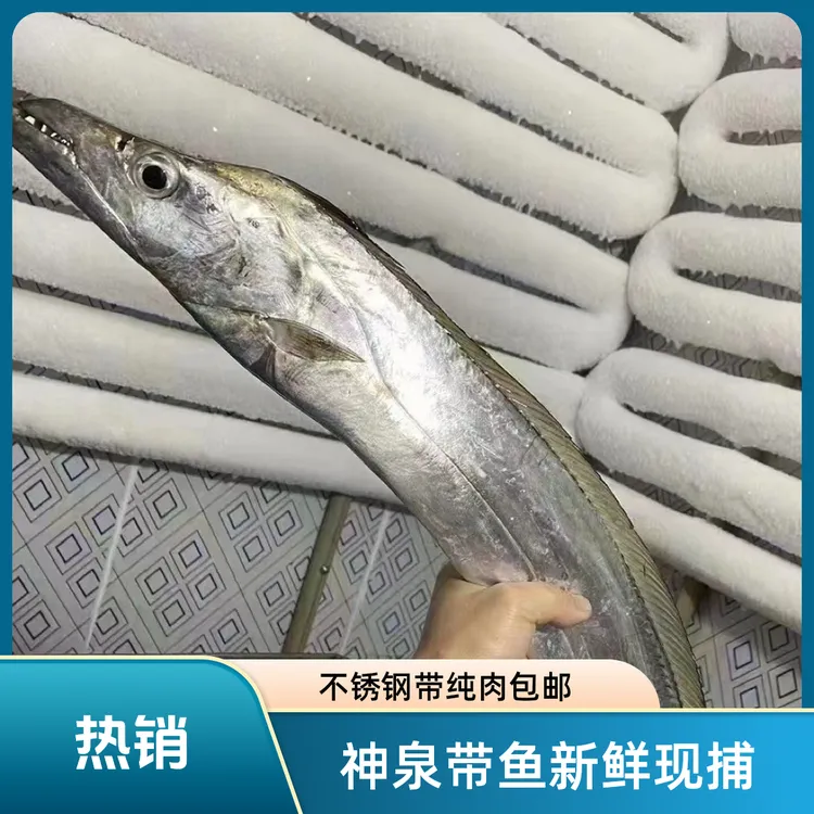 神泉本港新鲜青棕带鱼 大带鱼 不锈钢带鱼现捕大带鱼纯肉一包400g