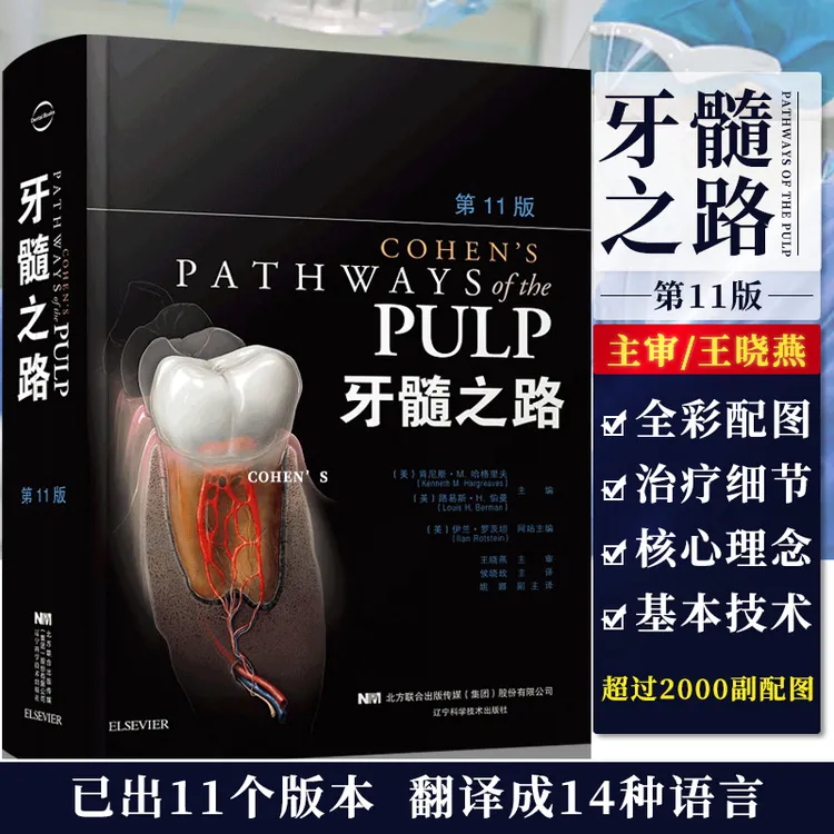 牙髓之路 第十一版 第11版 牙体牙髓病学临床牙髓再生技术口腔书