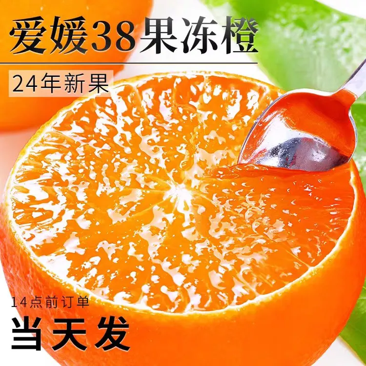 生态庄园爱媛果冻橙（无抛光打蜡）