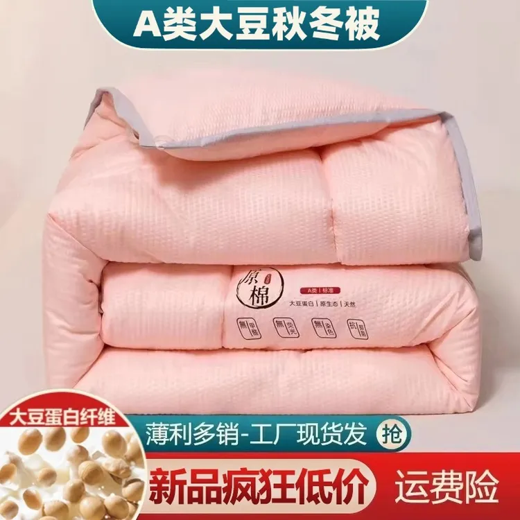 春秋故事加厚保暖原绵大豆被春秋冬天被子单双人宿舍被褥芯冬被商品图