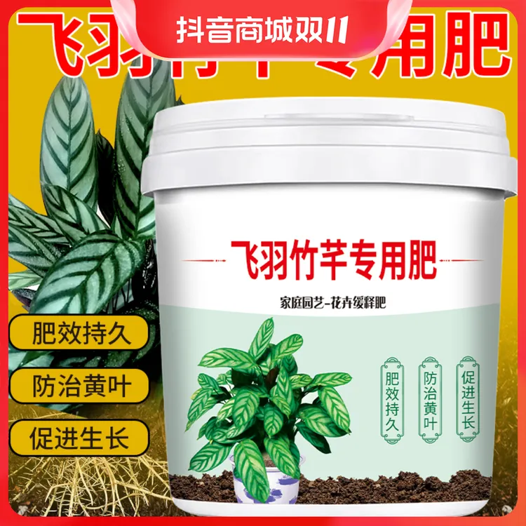 飞羽竹芋专用肥防止黄叶焦叶枯萎卷边壮根系缓释颗粒养花有机肥