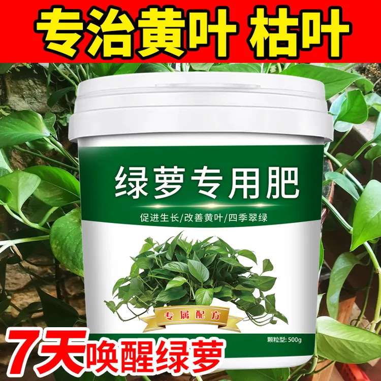绿萝肥料专用肥预防黄叶促长藤有机肥料家用缓释肥水培水养通用性