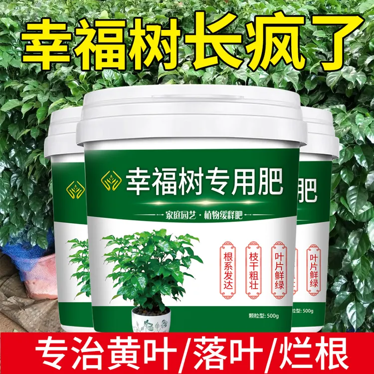 幸福树专用肥缓释肥生根壮苗防黄叶枯叶掉叶家用盆栽颗粒水溶肥料