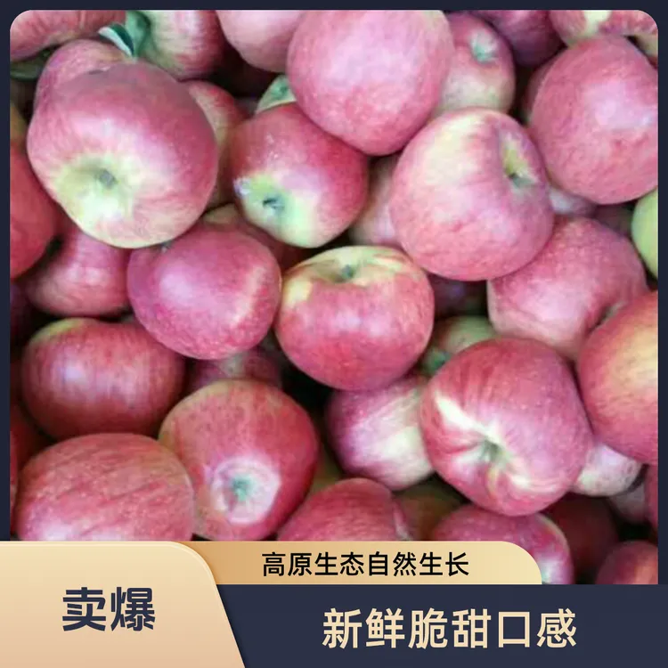 现摘现发正宗昭通丑苹果冰糖心稀有水果新鲜脆甜果整箱冰糖心苹果