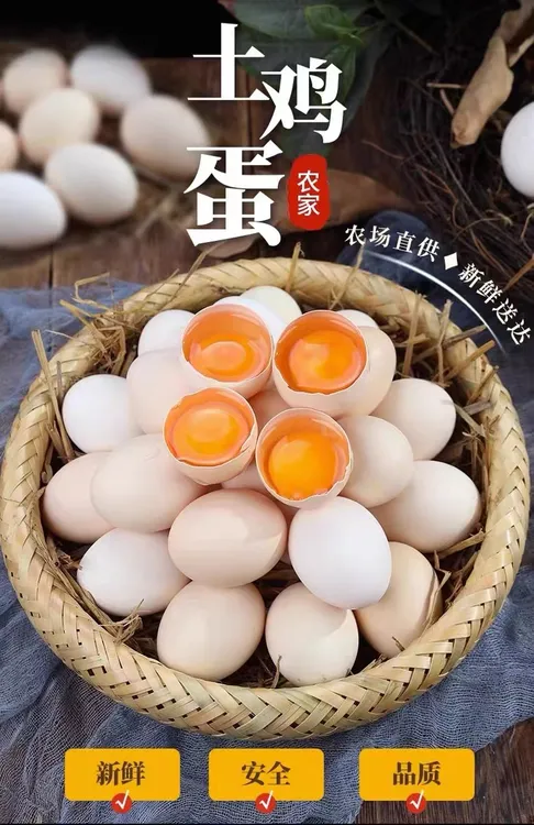 50枚湖北沙湖正宗散养土鸡蛋 新鲜现捡五谷杂粮喂养农家