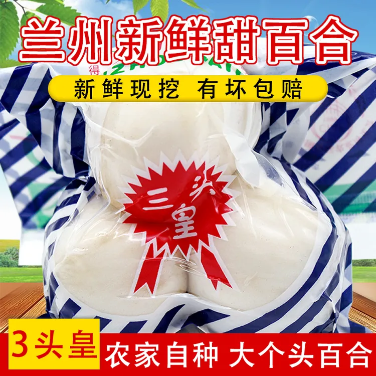 新鲜现挖兰州鲜百合精选九年生三头百合农家可食用甜百合坏果包赔