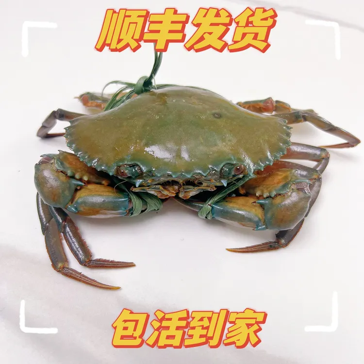 红树林母蟹红膏蟹红鲟顺丰包活(发货后不做拒签）死蟹包赔