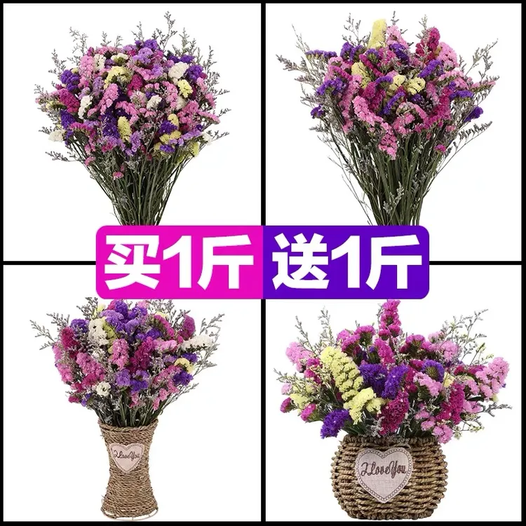 勿忘我干花花束真花客厅装饰插花摆件买一斤送一斤