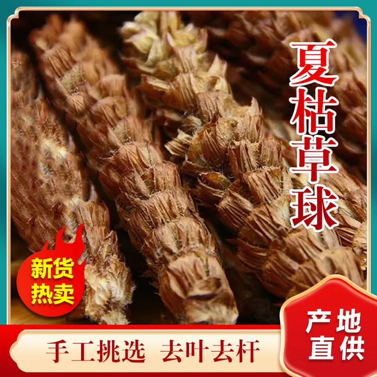 （夏枯草）河南确山野生新摘白毛夏枯草新货不熏硫自然成熟晾晒