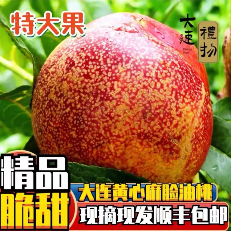大连油桃黄心油桃麻脸油桃油桃顺丰包邮桃子5斤新鲜饱满肉厚皮薄