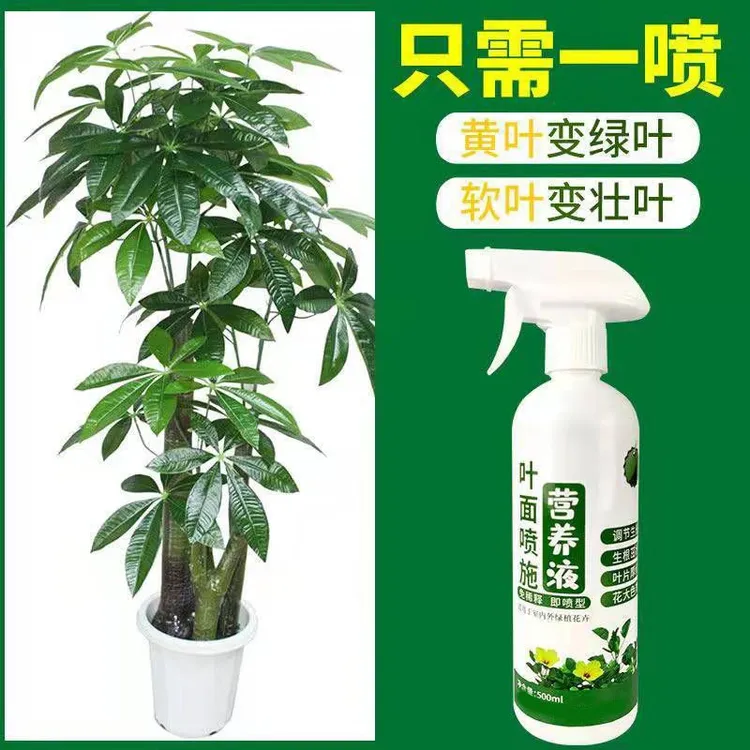 一喷绿营养液防治黄叶枯叶落叶绿色植物专用肥料免稀释直喷型花肥