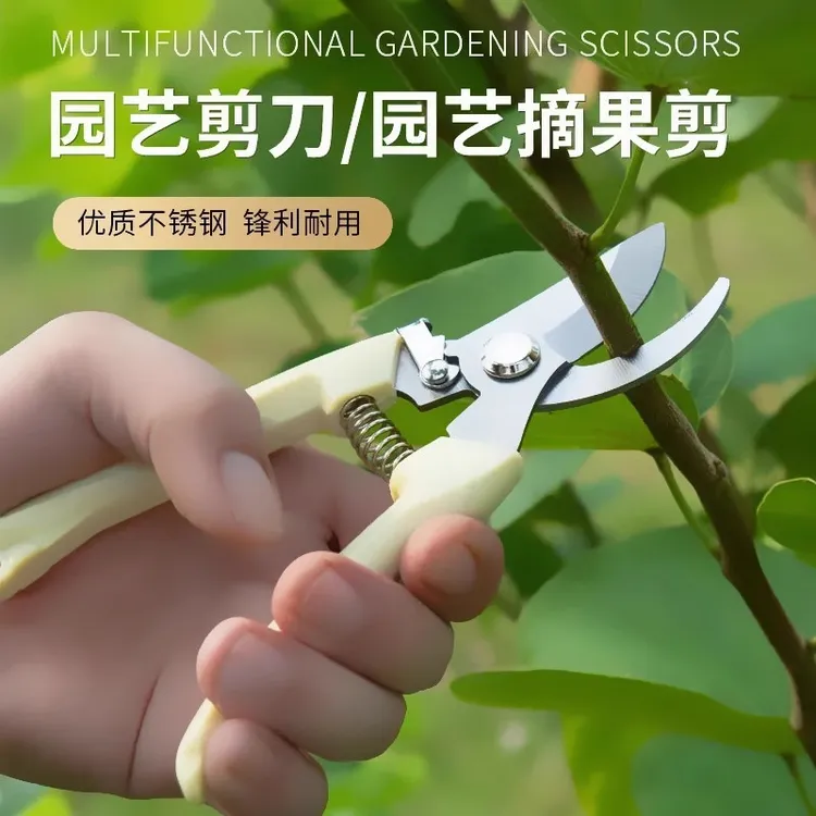 花园剪刀省力修枝修剪刀摘果剪绿化园林工具剪盆景树枝剪批发嫁接