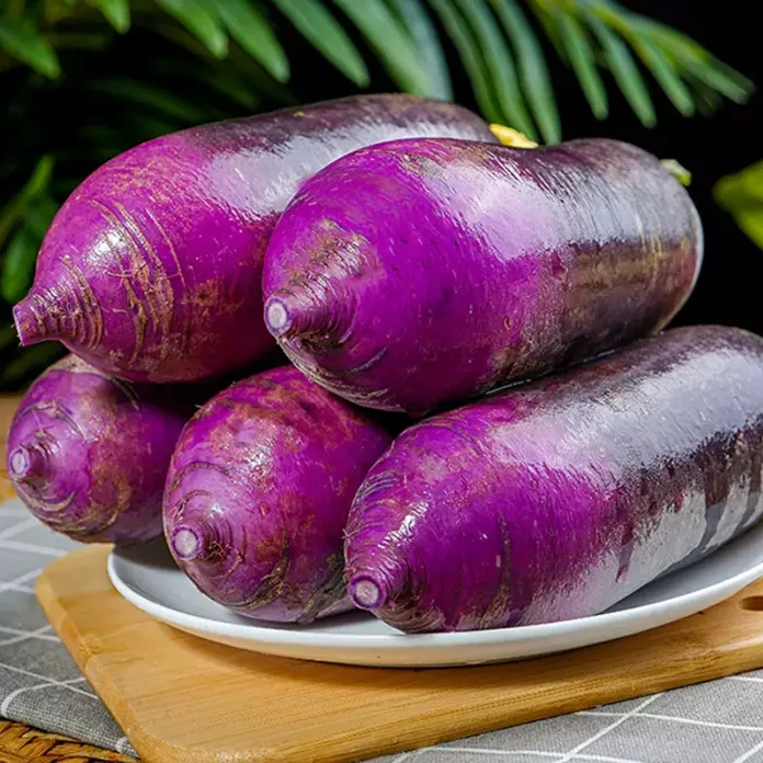 【二妹专属】新鲜现拔冰激凌萝卜4.5-5斤装 （2-4根）