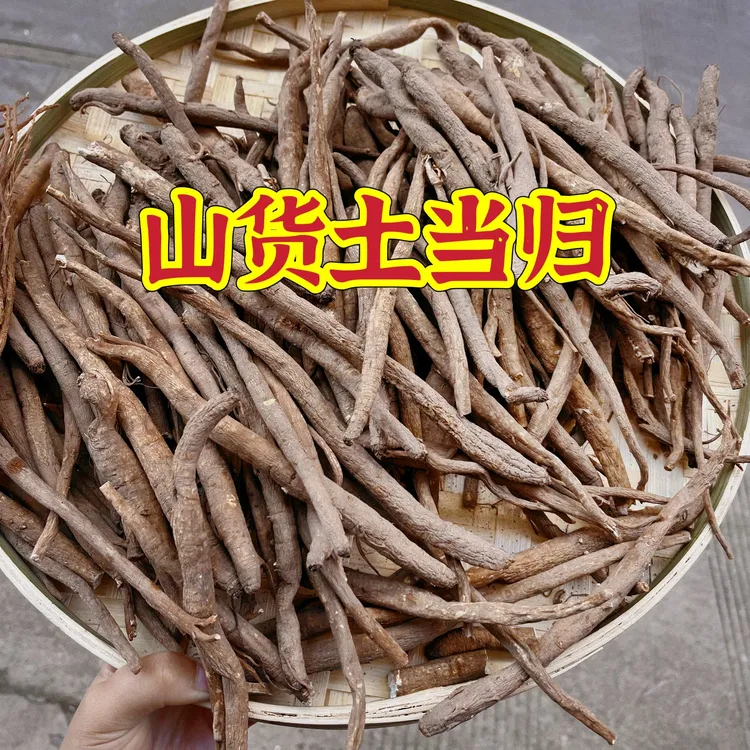 【山当归】云南山货土当归 炖汤炖鸡 煮鸡蛋煮水 炖猪蹄 炖排骨很香