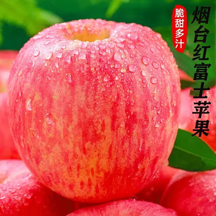 正宗烟台栖霞条纹红富士苹果脆甜爆汁新鲜现摘好吃宝宝应季烟台发