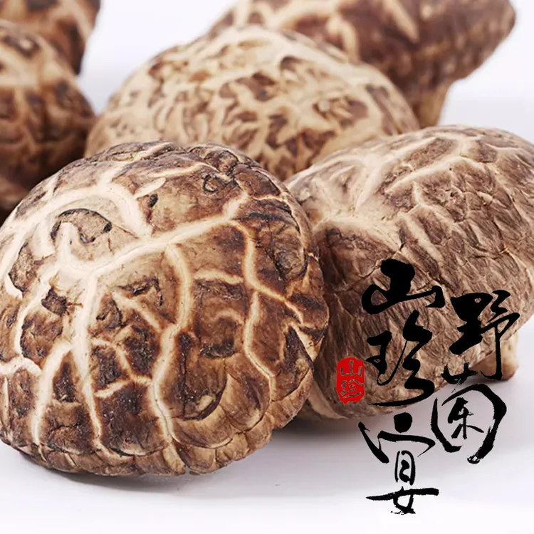 随州产地直发茶花菇特产精选挑选采摘美味干制