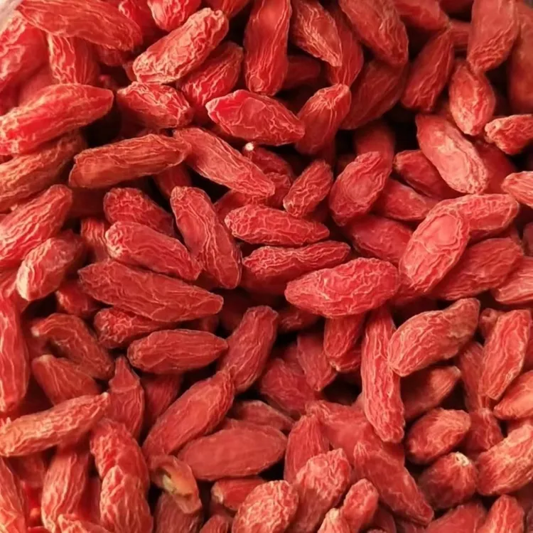 枸杞子头茬免洗新货正宗红枸杞250g*1罐毛重可泡水煲汤佳品直销