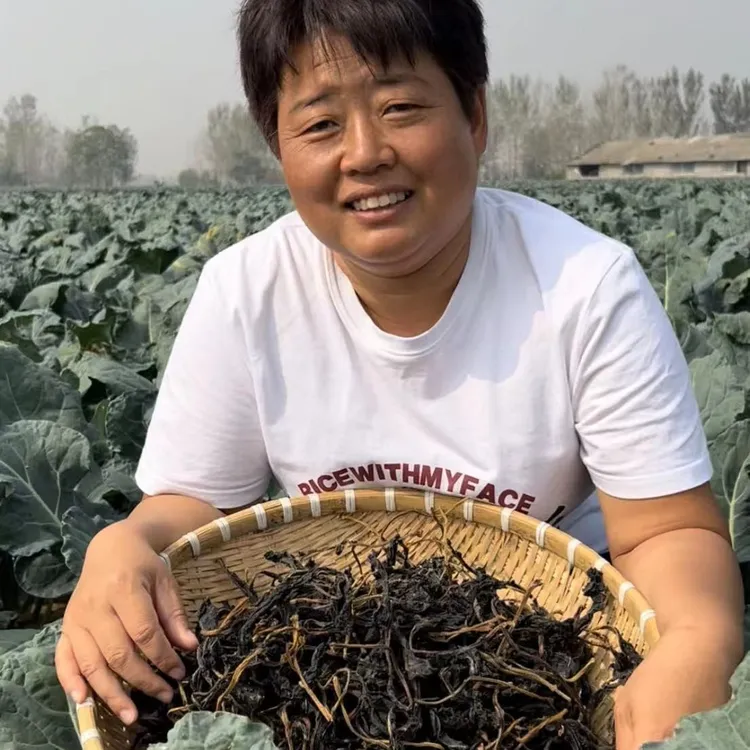 干芝麻叶西蓝花干菜叶河南特产无沙脱水芝麻叶西蓝花干菜叶各一斤