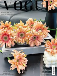 亚丁非洲菊10支（实物以直播间展示为准）