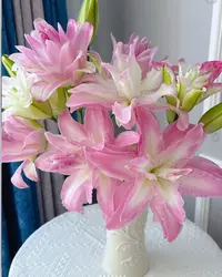 定制精选 多头神秘幻境重瓣百合（实物以直播间为准）