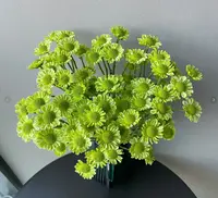 小清新小雏菊-收到花第一时间醒花哟插花