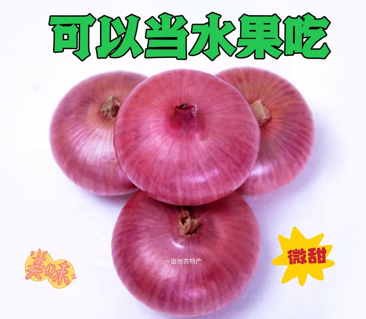 正宗二红扁平水果洋葱生吃凉拌炒菜微辣时令蔬菜5斤装可生吃